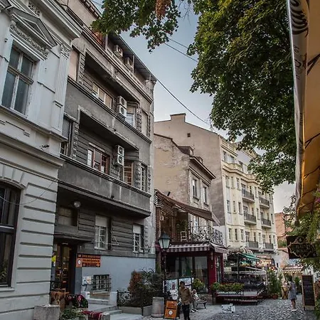White Owl Belgrad