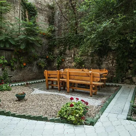White Owl Hostel