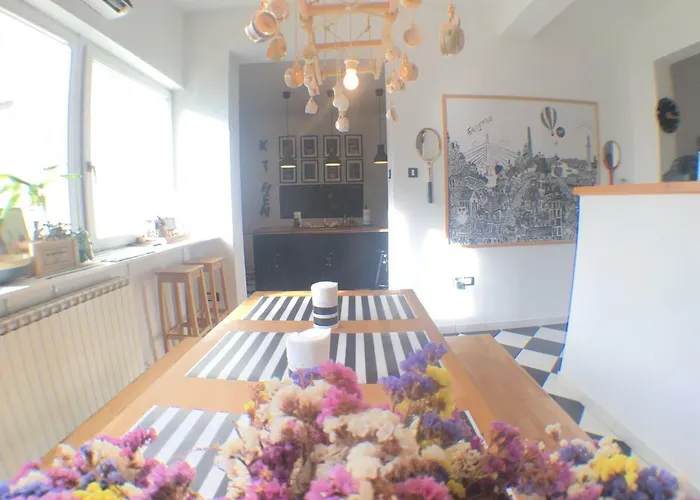 White Owl * Belgrade